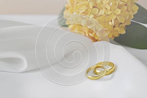 Gold wedding ring have a special day. In the background is blur flower and empty space for text