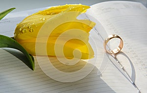 A gold wedding ring stands in a weekly binding