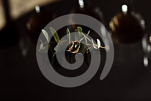Gold wedding rings on a dark background with eucalyptus twig, close-up