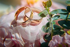 Gold wedding rings and delicate pink flowers, selective focus, close-up. Wedding photo with copy space