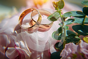 Gold wedding rings and delicate pink flowers, selective focus, close-up. Wedding photo with copy space