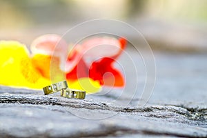 Gold wedding rings and flowers on the stone background