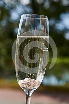 Gold wedding rings in a a glass of champagne