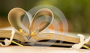 Gold wedding rings, heart book, background blur