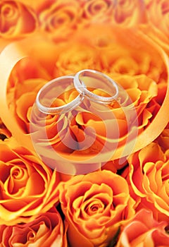 Gold wedding rings on the orange roses