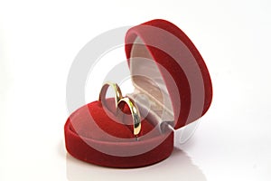 Gold wedding rings in red box