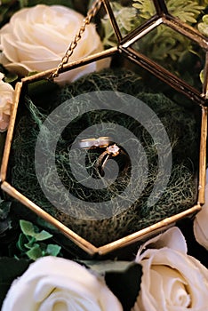 A Gold Wedding Rings on Terarium Box photo