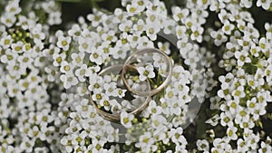 Gold wedding rings on white flowers.