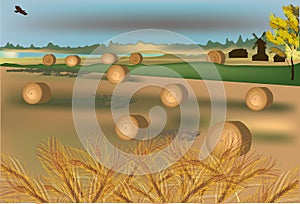 Gold wheat harvest illustration