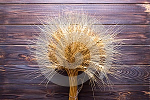 Gold wheat lying on a brown wooden surface