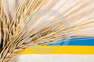 Gold wheat sheaf with Ukrainian ribbon on white