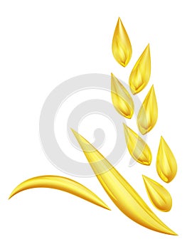 Gold wheat spike photo