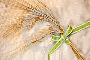 Gold wheat spikes, green ribbon on cloth close-up