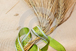 Gold wheat spikes, green ribbon on cloth close-up