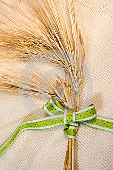 Gold wheat spikes, green ribbon on cloth close-up