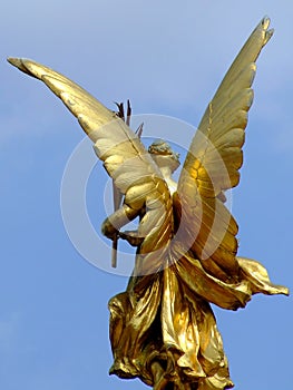 Gold wings