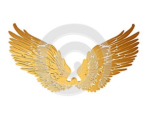 Gold wings on a white background