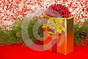 Gold-wrapped GIft with Curly Red Bow