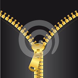 Gold zip vector