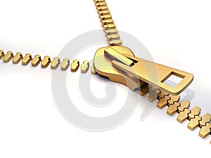 Gold zipper