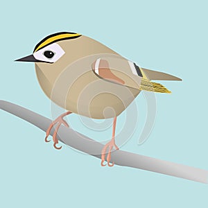 Goldcrest