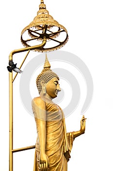 Golded Buddha