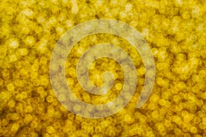 Golden abstract bokeh background