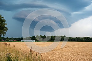 Golden agriculture fields of a farmland with dramatic cumulus clouds in the background, North Rhine Westphalia, Germany