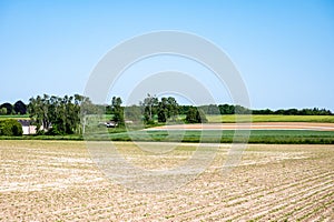 Golden agriculture fields at the Flemish countryside - Leuven, Belgium