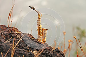 The golden alto saxophone stands on the background of the beach.