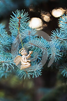 Golden angel with a bird on blue spruce. Place for text. Element Christmas design.