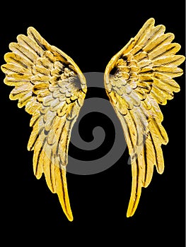 Golden angel wings on a black background for protection