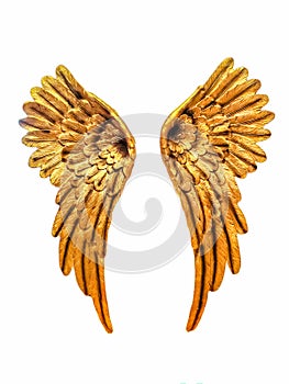 Golden angel wings on a white background