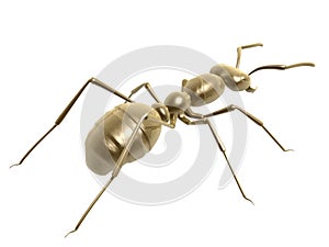 Golden ant