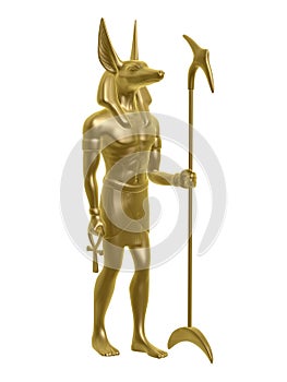 Golden anubis