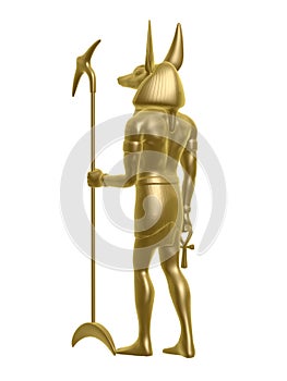 Golden anubis