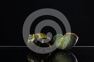 Golden Apple Snail.On a black background, the enemies in rice f