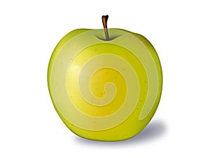 Golden Apple Vector Illustration
