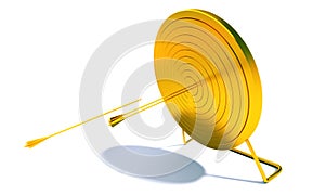 Golden Archery Target