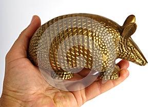 Golden armadillo