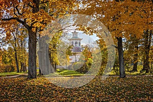 Golden autumn in Alexander Park near Tsarskoye Selo. The city of Pushkin, Leningrad region. Chinese village