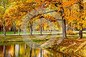 Golden autumn in Alexander park, Tsarskoe Selo Pushkin Saint Petersburg, Russia