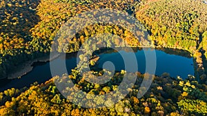 Golden autumn background, aerial drone view of forest with yellow trees and beautiful lake landscape from above, Kiev