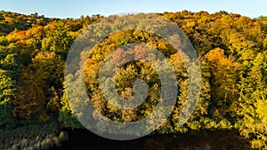 Golden autumn background, aerial drone view of forest with yellow trees and beautiful lake landscape from above, Kiev