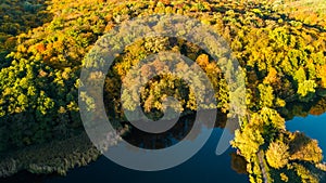 Golden autumn background, aerial drone view of forest with yellow trees and beautiful lake landscape from above, Kiev, Ukraine