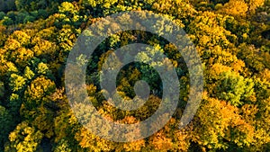 Golden autumn background, aerial drone view of forest with yellow trees and beautiful lake landscape from above, Kiev, Ukraine