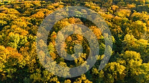 Golden autumn background, aerial drone view of forest with yellow trees and beautiful lake landscape from above, Kiev, Ukraine
