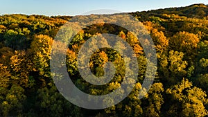 Golden autumn background, aerial drone view of forest with yellow trees and beautiful lake landscape from above, Kiev, Ukraine