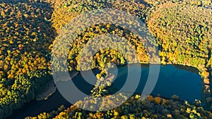 Golden autumn background, aerial view of forest with yellow trees and beautiful lake landscape from above, Kiev, Goloseevo forest