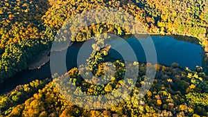 Golden autumn background, aerial view of forest with yellow trees and beautiful lake landscape from above, Kiev, Goloseevo forest